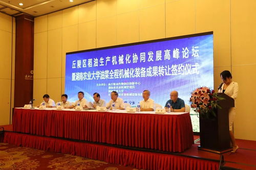 金洲鎮田間“龐然大物”揭秘 現代農業技術轉讓的新篇章